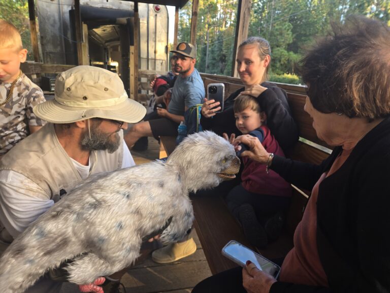 Kingsland Station Dinosaurs